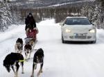 Renault Megane 2008 года